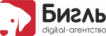 «Бигль»