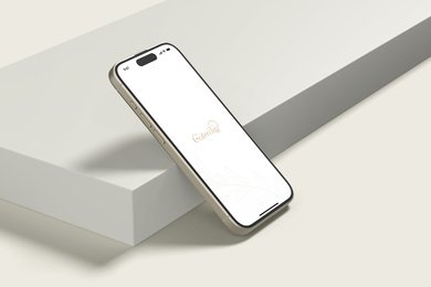 Как поднять статус премиальной стоматолгии? Приложение для лучшей стоматологии Перми